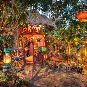 Evergreen County Retreat-India'S First Adventure Veg Retreat